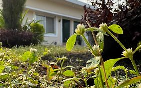 The Bougainvillea Cottage - Hills And Orchard Views